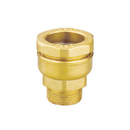 861 RACC. DIR. MASCHIO...